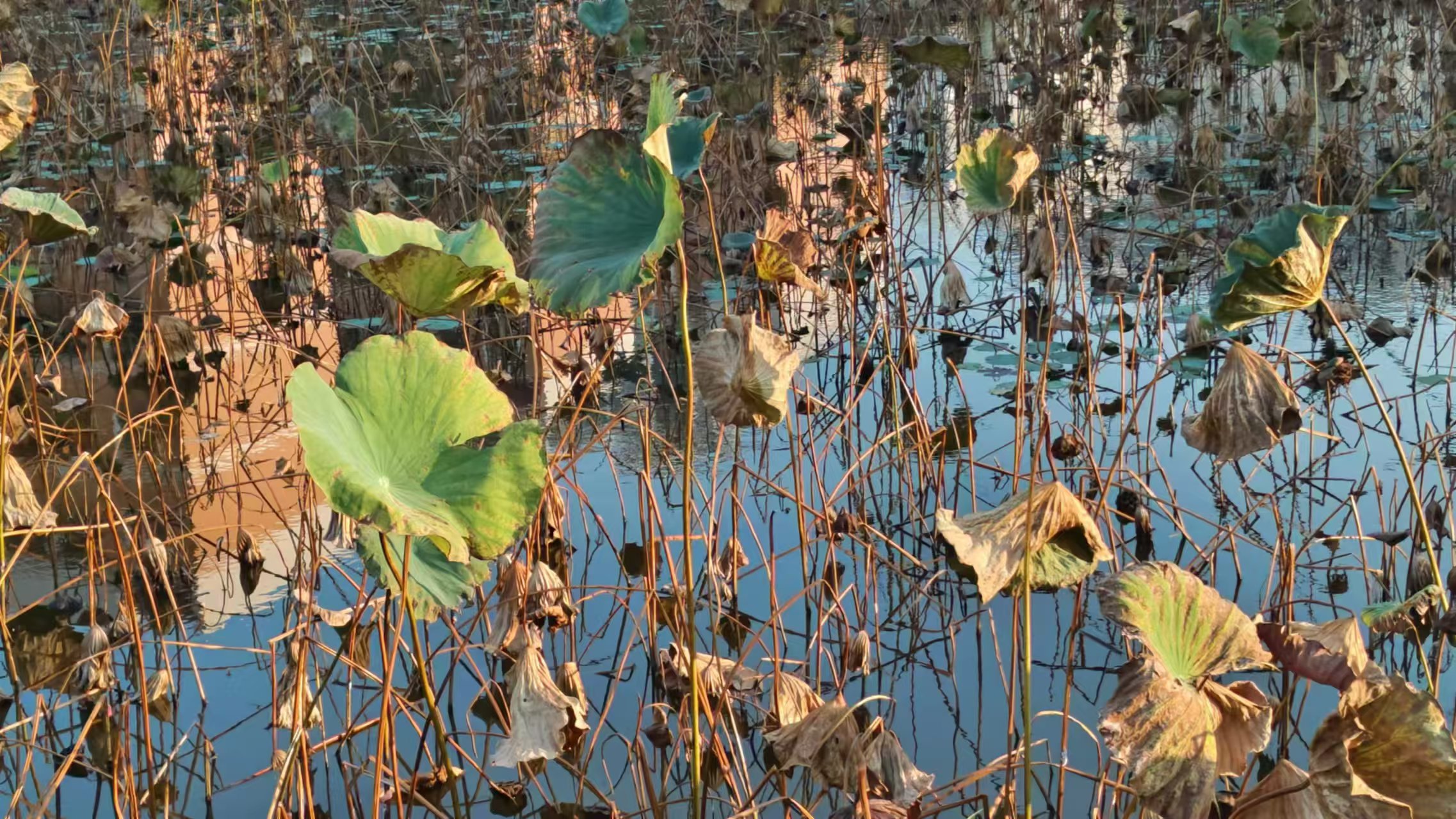 微信圖片_20241017081740.jpg 微信圖片_20241017081740.jpg